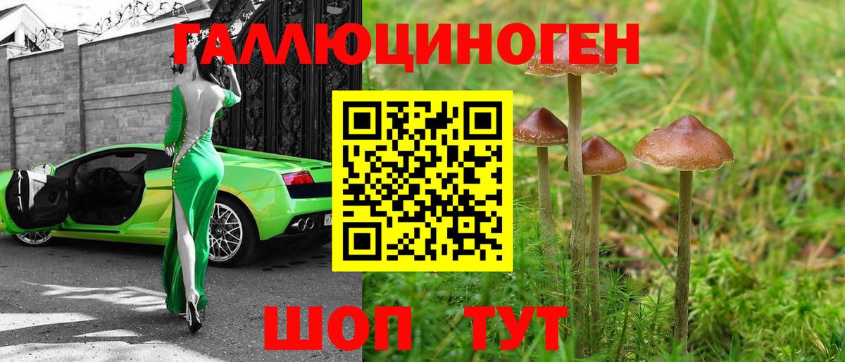 Галлюциногенные грибы Psilocybine cubensis Долгопрудный
